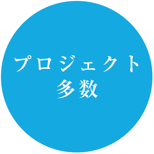 プロジェクト多数
